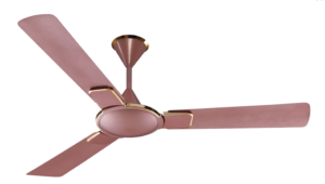 WhatsApp_Image_2026-07-18_at_8_29_22_PM__1__transparent